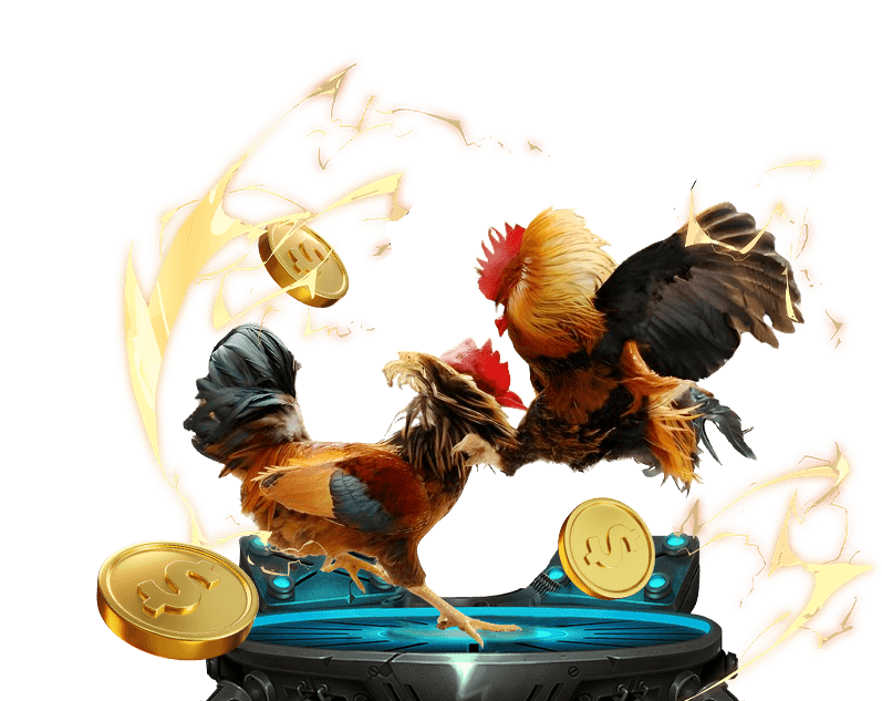 Đá gà trực tuyến gnbet với các trận đấu kịch tính